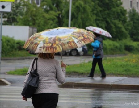 Туман, дождь и сильный ветер: МЧС Башкортостана сообщает об ухудшении погоды