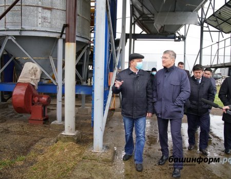 В Башкортостане построят завод по производству семян зерновых культур за 147 млн рублей