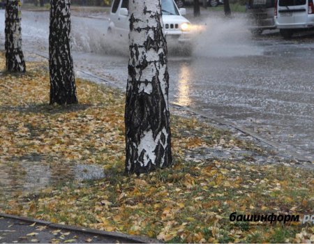 Ливни, мокрый снег и гололедица: синоптики сообщили о контрастной погоде в Башкортостане