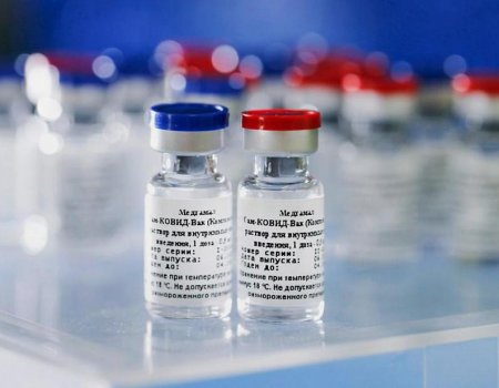 В Башкортостан поступила первая партия вакцины от коронавируса объёмом 40 доз
