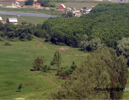 С 2021 года в Башкортостане неразграниченной землей будет распоряжаться МЗИО - законопроект
