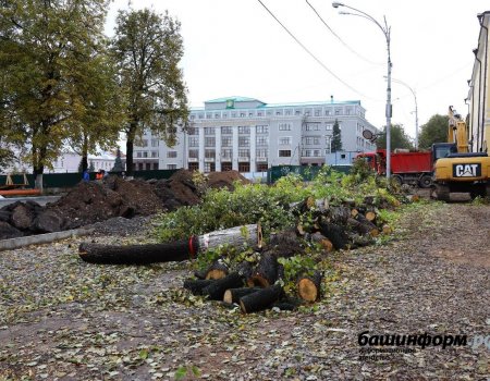 В Уфе предлагают ввести общественный контроль за вырубкой деревьев