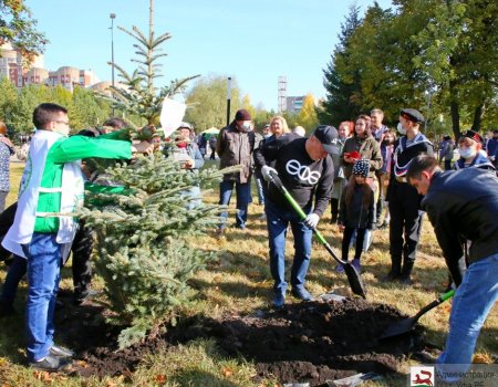 В Уфе в рамках акции «Зеленая Башкирия» заложили аллею «Соловецких юнг»