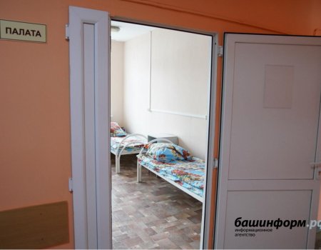 В Башкортостане за сутки число больных внебольничной пневмонией увеличилось на 146 человек