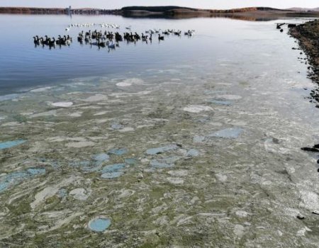 ОНФ в Башкортостана просит власти принять меры по спасению озера Ургун в Учалинском районе