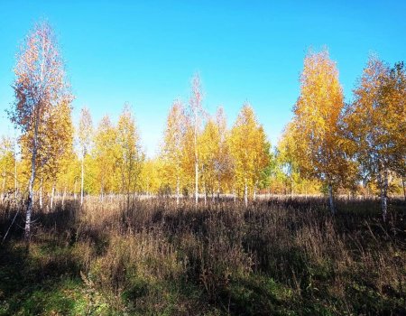 В ночь на 6 октября в некоторых районах Башкортостане похолодает до -9