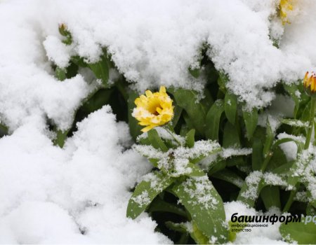 Дождь со снегом и гололёд - МЧС предупреждает об ухудшении погоды в Башкортостане