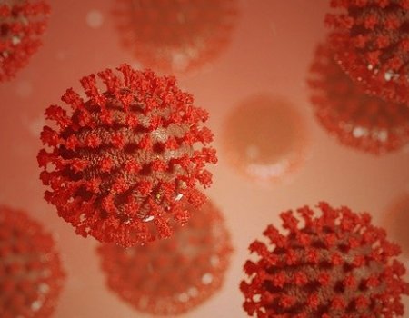 В Башкортостане идет рост инфицированных коронавирусом, прирост за сутки - 58 человек