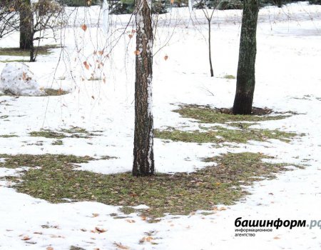 В Башкортостане на этой неделе установится временный снежный покров
