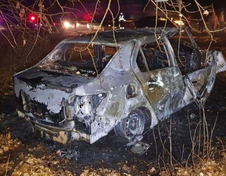 В Башкортостане автомобиль врезался в дерево и загорелся: пассажир погиб