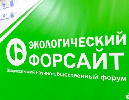 Башкортостан представит на «Экологическом форсайте» в Саратове свои успешные эко-акции