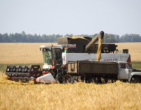 Радий Хабиров: Ставим себе следующий барьер - урожай зерновых в 5 миллионов тонн
