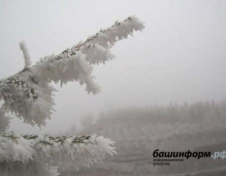 Башкортостан ожидает месяц «погодных качелей»