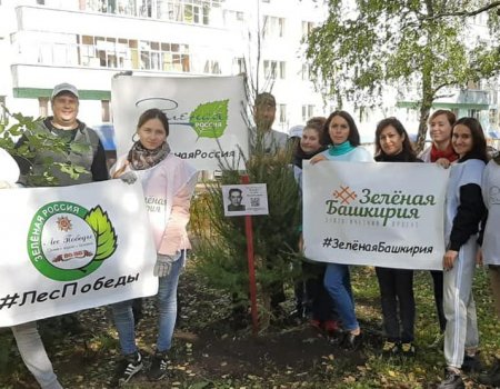 Башкортостан стал лидером экологического общественного движения «Зеленая Россия»