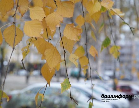Дождь со снегом, шквалистый ветер: МЧС Башкортостана предупреждает об ухудшении погоды