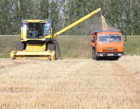 В Башкортостане собранный урожай оценили в 134,4 млрд рублей