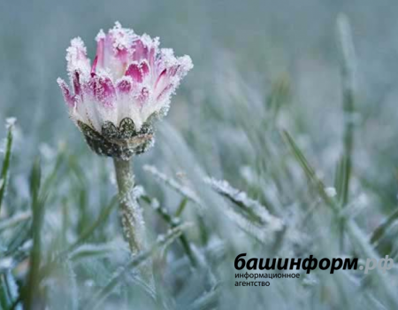 В Башкортостане прогнозируются ухудшение погоды и дождь со снегом