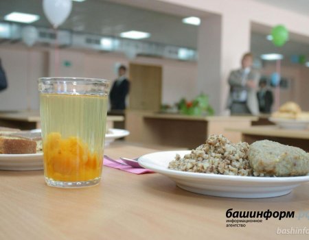 В Башкортостане стартует анонимный опрос по питанию в школах