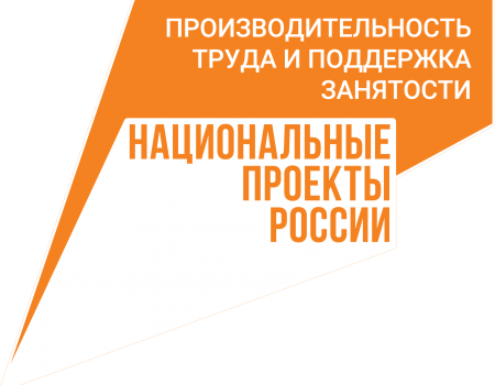 87 предприятий Башкортостана участвуют в нацпроекте по поддержке занятости