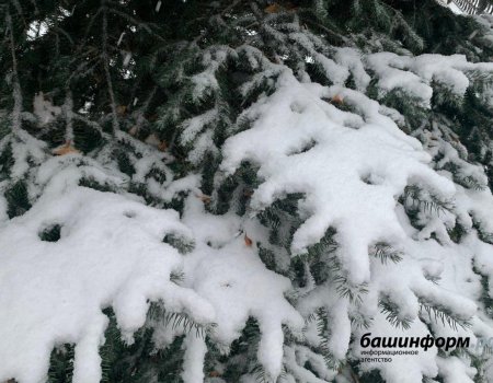Температура воздуха в Башкортостане понизится до 23 градусов мороза