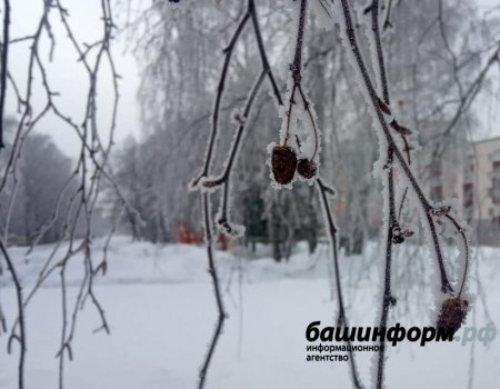 Синоптики сообщили о погоде в Башкортостане в выходные и на следующей неделе