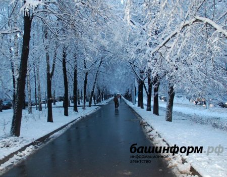 Конец ноября в Башкортостане будет относительно теплым и снежным
