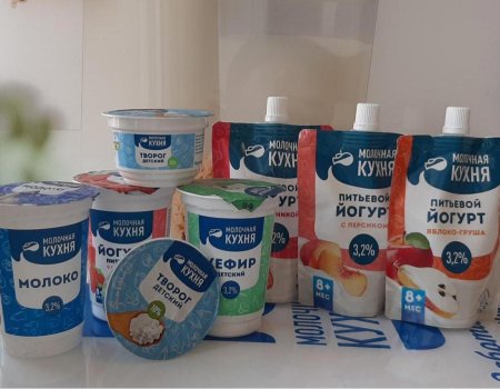 В Башкортостане дети-сироты смогут получать продукцию «Молочной кухни» бесплатно