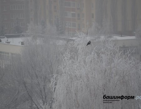 МЧС Башкортостана предупреждает о сильном тумане и похолодании до -28 градусов