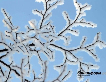 Синоптики сообщили о погоде в Башкортостане в первые выходные декабря