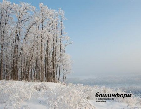 Холодная погода сохранится в Башкортостане ближайшие 10 дней