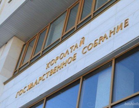 Парламент Башкортостана пересмотрит наказание за неконтролируемый выпас скота