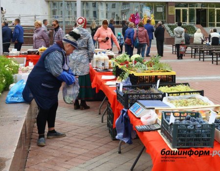 В Башкортостане штрафы за незаконную уличную торговлю вырастут до 150 тысяч рубле