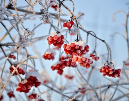 В Башкортостане синоптики предупреждают о сильных морозах в ближайшие дни