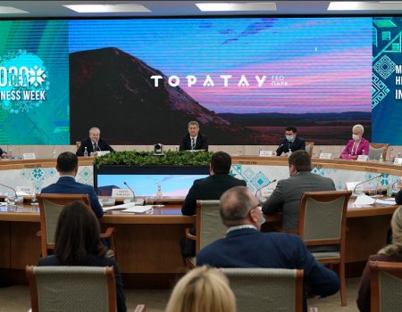 Радий Хабиров провёл заседание Попечительского совета по геопаркам Башкортостана