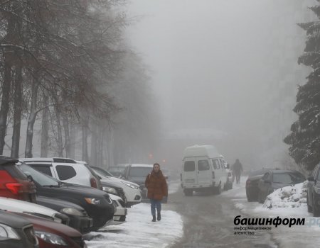 МЧС Башкортостана объявило штормовое предупреждение из-за сильного тумана
