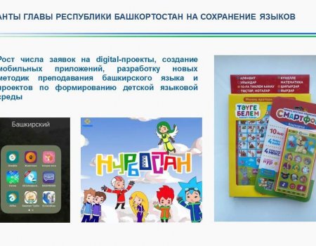 В Башкортостане просят увеличить грантовую поддержку проектов по сохранению родных языков
