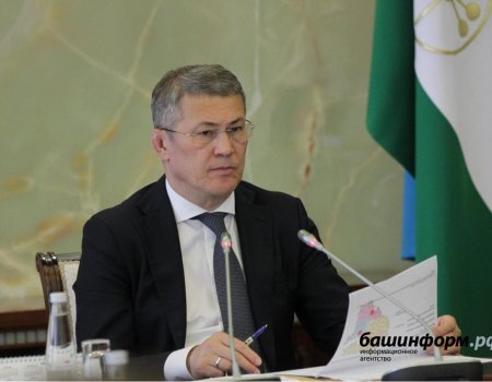 Радий Хабиров поручил разобраться с системой социальных выплат в Башкортостане