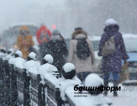 В Башкортостане снегопады продолжатся до конца новогодних каникул