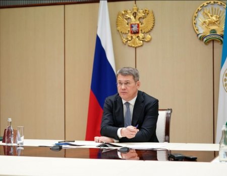 Радий Хабиров выступил на совещании Владимира Путина по социальным вопросам