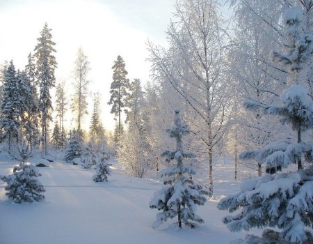 В Башкортостане в старый Новый год похолодает до -30 градусов