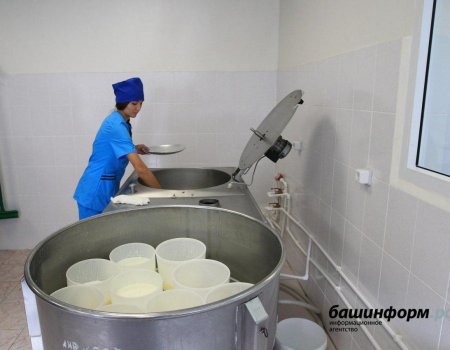 В Башкортостане еще в три села привезут продукцию молочной кухни