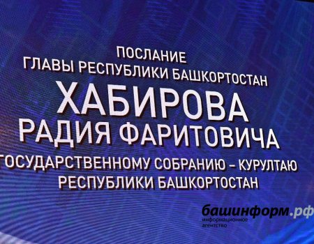 Радий Хабиров может озвучить свое Послание Госсобранию Башкортостана 28 января