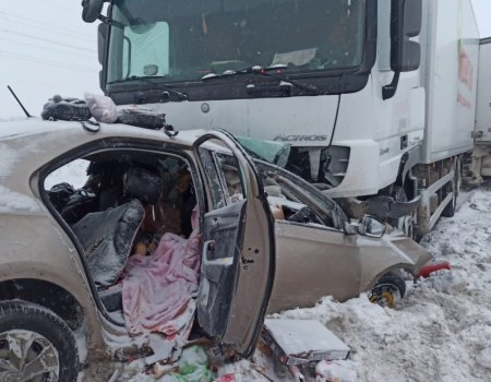В Башкортостане в ДТП с фурой погибли двое взрослых и двое детей