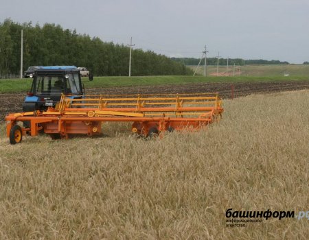 Башкортостан к 2024 году должна выйти на первые места в ПФО по переработке сельхозпродукции