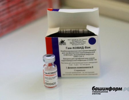 Жители Башкортостана, оставившие заявку на «Госуслугах», могут сделать вакцину с 29 января