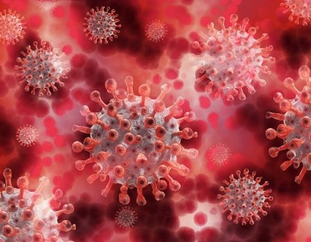 Новый тест Роспотребнадзора поможет распознать коронавирус за час