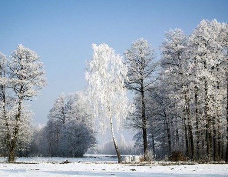 После короткого потепления в Башкортостан вернутся морозы
