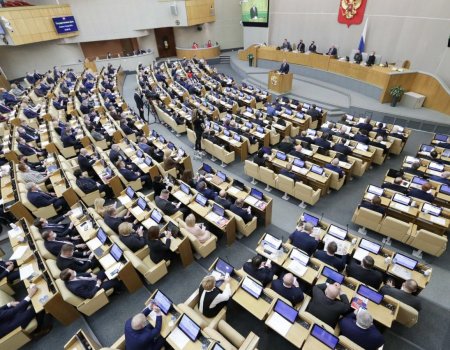 Госдума приняла в 1 чтении законопроект об автоматизации предоставления мер соцподдержки
