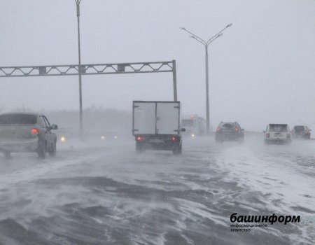 В Башкортостане ожидается сильный ветер, метель и снежные заносы