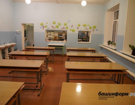 В Башкортостане напомнили, при какой погоде школьники могут не ходить на уроки